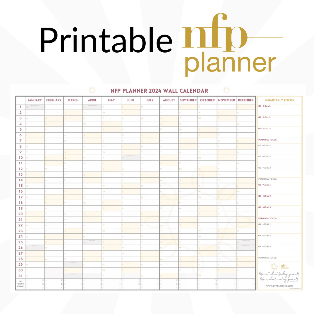 Printable 2025 Wall Calendar (A1) nfpplanner